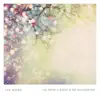 Ian Wong - Lo How a Rose E'er Blooming - Single